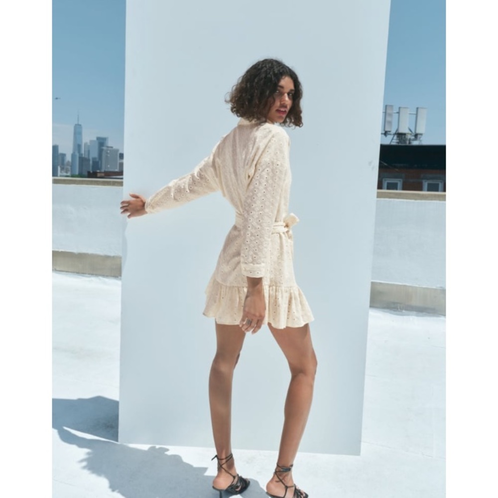 Zara Woman Cutwork Dress - Picture 3 of 7
